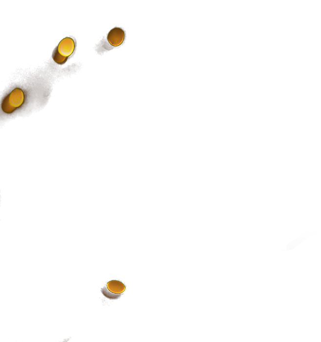 zuo